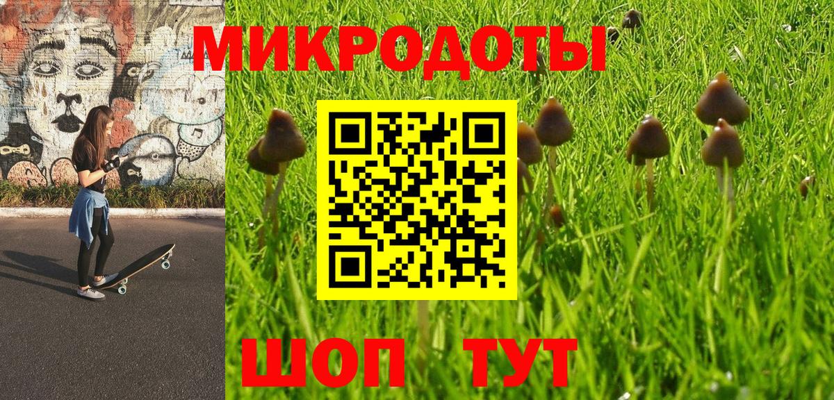 Галлюциногенные грибы Magic Shrooms  Псилоцибиновые грибы прущие грибы  Одинцово  закладка  Вход с VPN 